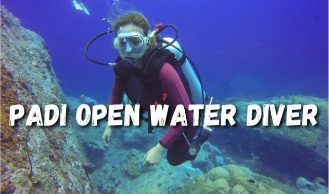 PADI Open Water Diver with Neptune Scuba Diving Sanur